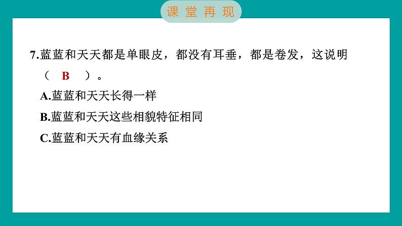 2.5 相貌各异的我们（习题课件+知识点梳理）教科版六年级科学下册08