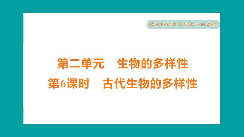 2.6 古代生物的多样性（习题课件+知识点梳理）教科版六年级科学下册01