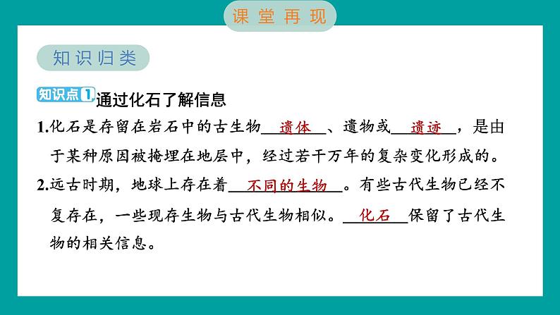 2.6 古代生物的多样性（习题课件+知识点梳理）教科版六年级科学下册02