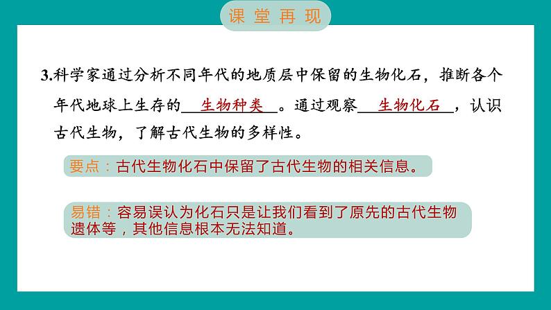 2.6 古代生物的多样性（习题课件+知识点梳理）教科版六年级科学下册03