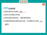 2.6 古代生物的多样性（习题课件+知识点梳理）教科版六年级科学下册