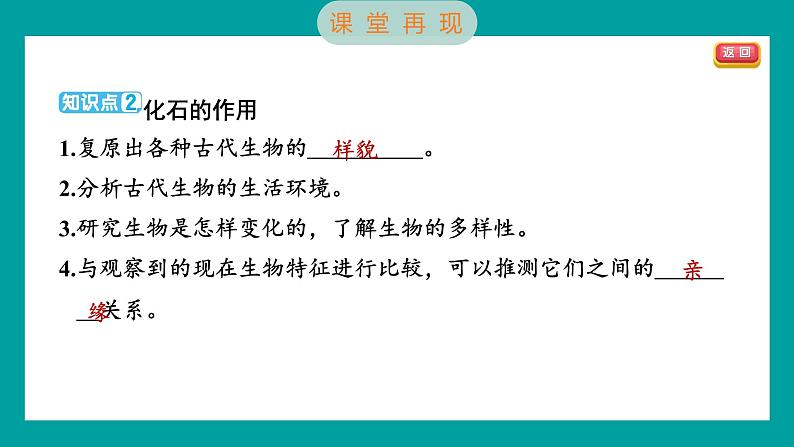 2.6 古代生物的多样性（习题课件+知识点梳理）教科版六年级科学下册04