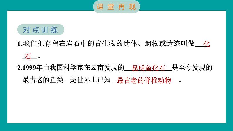 2.6 古代生物的多样性（习题课件+知识点梳理）教科版六年级科学下册05