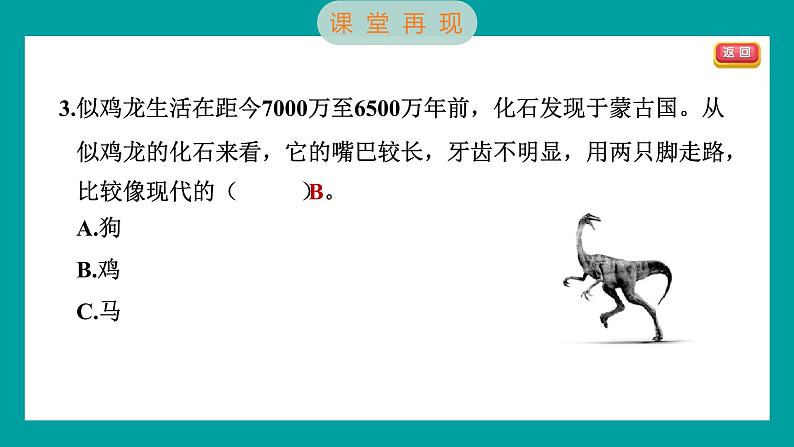 2.6 古代生物的多样性（习题课件+知识点梳理）教科版六年级科学下册06