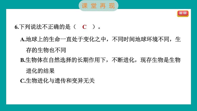 2.6 古代生物的多样性（习题课件+知识点梳理）教科版六年级科学下册08