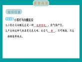4.2 產(chǎn)生氣體的變化（習(xí)題課件+知識(shí)點(diǎn)梳理）教科版六年級(jí)科學(xué)下冊(cè)