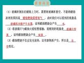 4.3 发现变化中的新物质（习题课件+知识点梳理）教科版六年级科学下册