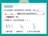 4.6 生命体中的化学变化（习题课件+知识点梳理）教科版六年级科学下册