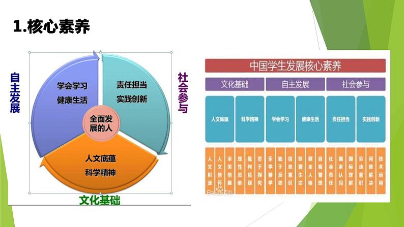 大象版科学（2017）六年级下册全册教材整体分析课件PPT04