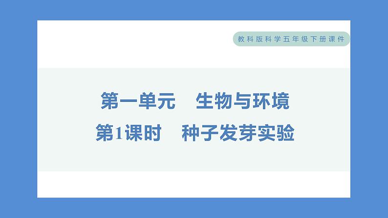 1.1 种子发芽实验——（习题课件+知识点梳理）教科版五年级科学下册01