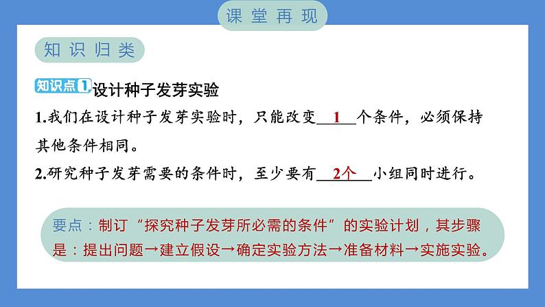 1.1 种子发芽实验——（习题课件+知识点梳理）教科版五年级科学下册02