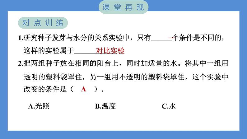 1.1 种子发芽实验——（习题课件+知识点梳理）教科版五年级科学下册04
