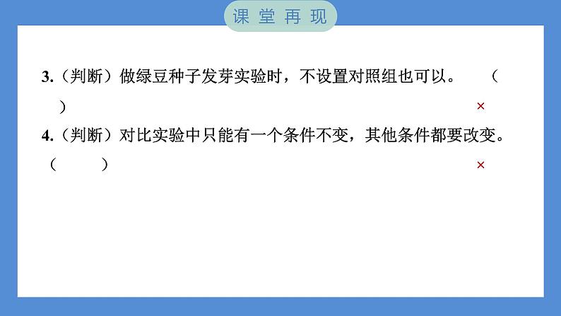 1.1 种子发芽实验——（习题课件+知识点梳理）教科版五年级科学下册05