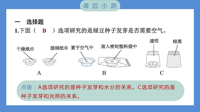 1.1 种子发芽实验——（习题课件+知识点梳理）教科版五年级科学下册08