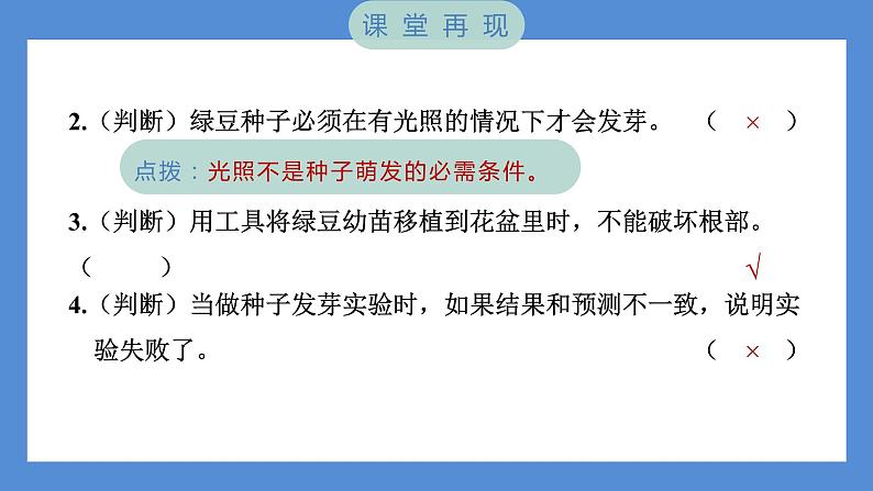 1.2 比较种子发芽实验——（习题课件+知识点梳理）教科版五年级科学下册04