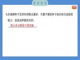1.2 比较种子发芽实验——（习题课件+知识点梳理）教科版五年级科学下册