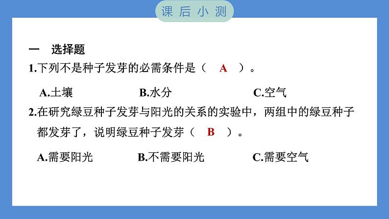 1.2 比较种子发芽实验——（习题课件+知识点梳理）教科版五年级科学下册06