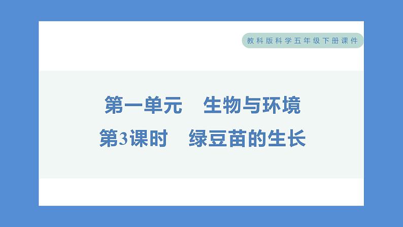 1.3 绿豆苗的生长——（习题课件+知识点梳理）教科版五年级科学下册01