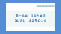 小学科学教科版 (2017)五年级下册3.绿豆苗的生长习题课件ppt
