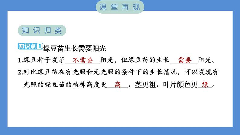 1.3 绿豆苗的生长——（习题课件+知识点梳理）教科版五年级科学下册02