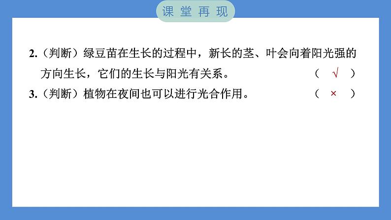 1.3 绿豆苗的生长——（习题课件+知识点梳理）教科版五年级科学下册05