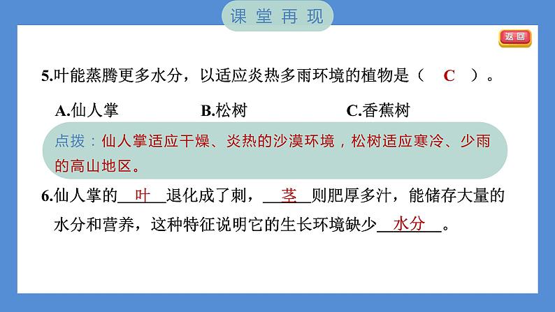 1.3 绿豆苗的生长——（习题课件+知识点梳理）教科版五年级科学下册08