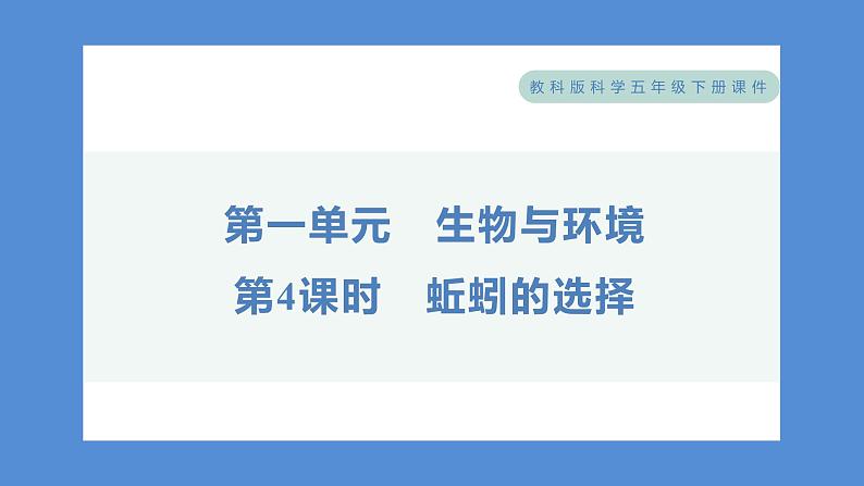 1.4 蚯蚓的选择——（习题课件+知识点梳理）教科版五年级科学下册01