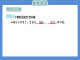 1.4 蚯蚓的选择——（习题课件+知识点梳理）教科版五年级科学下册
