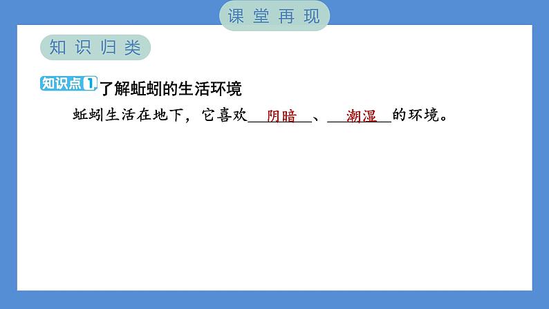 1.4 蚯蚓的选择——（习题课件+知识点梳理）教科版五年级科学下册02