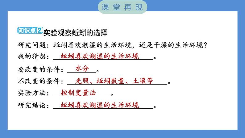 1.4 蚯蚓的选择——（习题课件+知识点梳理）教科版五年级科学下册03