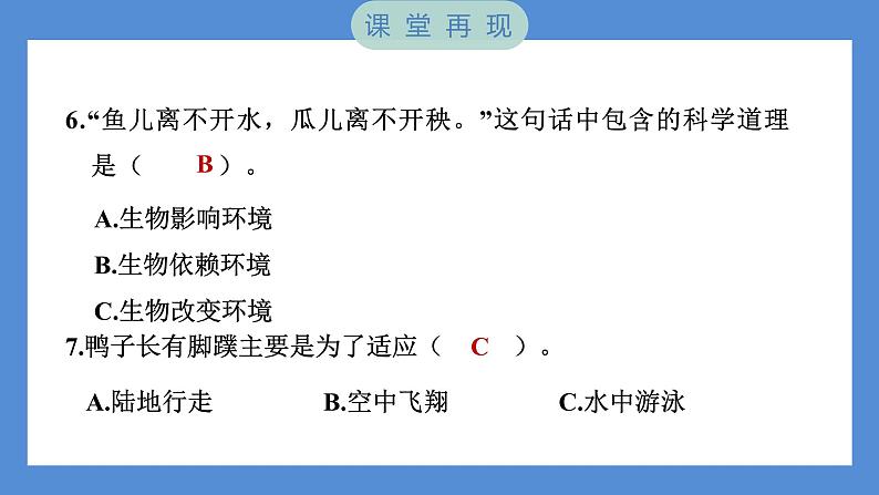 1.4 蚯蚓的选择——（习题课件+知识点梳理）教科版五年级科学下册08