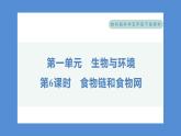 1.6 食物链和食物网——（习题课件+知识点梳理）教科版五年级科学下册