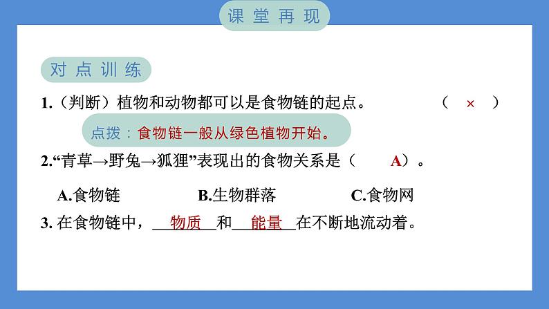 第6课时 食物链和食物网第5页