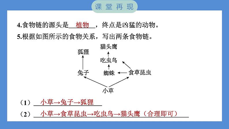 第6课时 食物链和食物网第6页