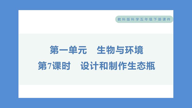 1.7 设计和制作生态瓶——（习题课件+知识点梳理）教科版五年级科学下册01