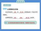 1.7 设计和制作生态瓶——（习题课件+知识点梳理）教科版五年级科学下册