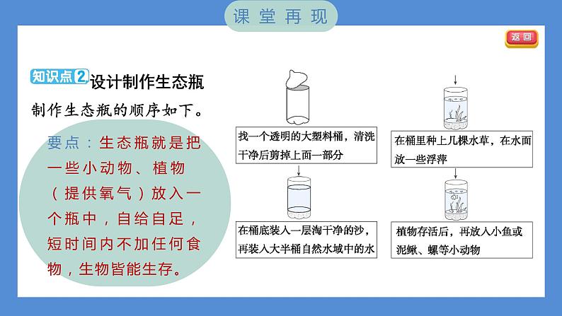 1.7 设计和制作生态瓶——（习题课件+知识点梳理）教科版五年级科学下册03