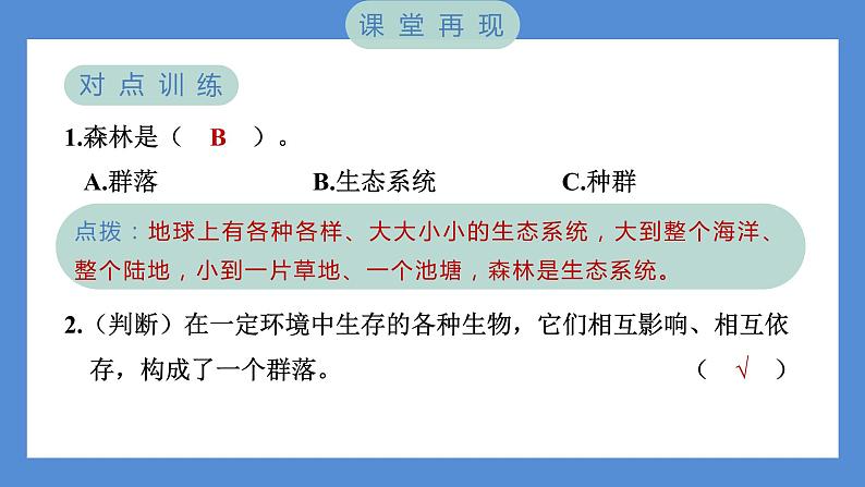 1.7 设计和制作生态瓶——（习题课件+知识点梳理）教科版五年级科学下册04