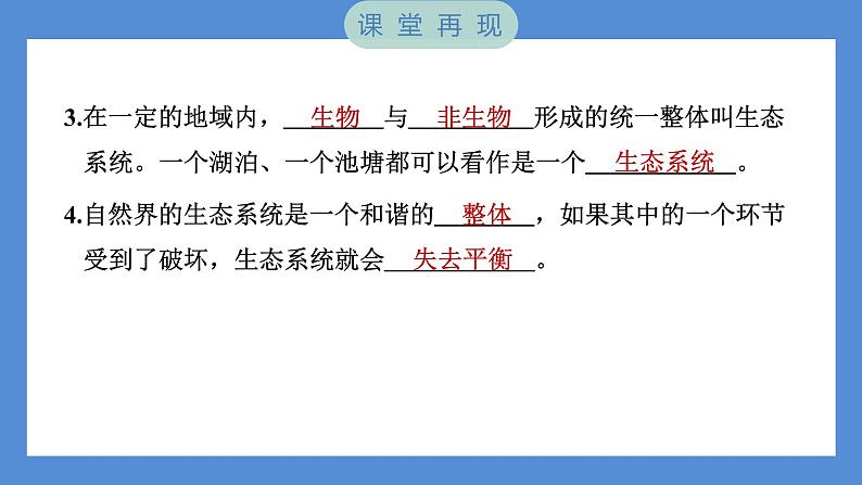 1.7 设计和制作生态瓶——（习题课件+知识点梳理）教科版五年级科学下册05