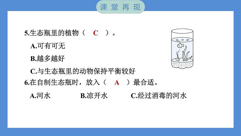 1.7 设计和制作生态瓶——（习题课件+知识点梳理）教科版五年级科学下册06