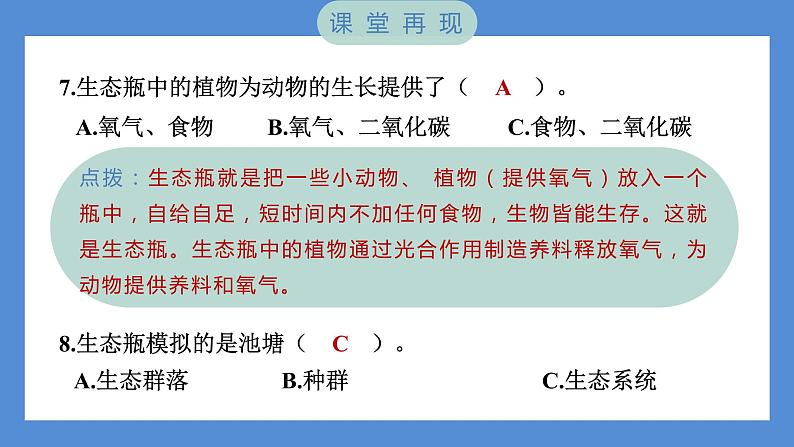 1.7 设计和制作生态瓶——（习题课件+知识点梳理）教科版五年级科学下册07