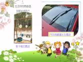各种各样的运动1课件PPT