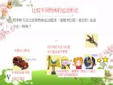 各种各样的运动1课件PPT