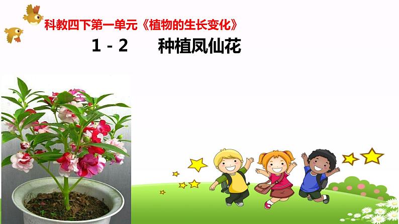 教科四下册科学1－2种植凤仙花课件PPT01