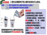 教科四下册科学1－2种植凤仙花课件PPT