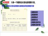 教科四下册科学1－2种植凤仙花课件PPT