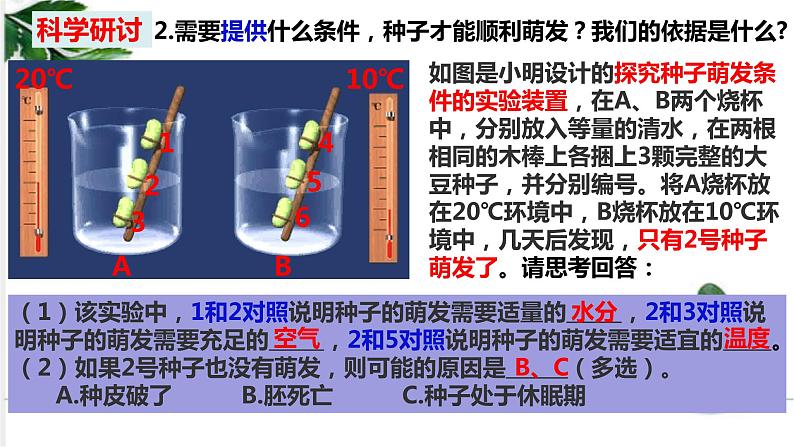 教科四下册科学1－2种植凤仙花课件PPT07