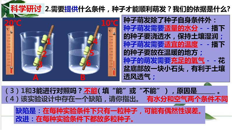 教科四下册科学1－2种植凤仙花课件PPT08