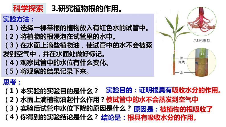 教科版四年级下册科学1－3种子长出了根课件PPT06