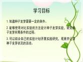 1.种子发芽实验课件PPT